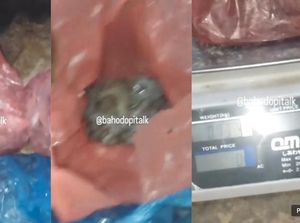 Beli Udang di Pasar, Berat Tak Sesuai Saat Ditimbang Ulang di Rumah Beli Udang di Pasar, Berat Tak Sesuai Saat Ditimbang Ulang di Rumah