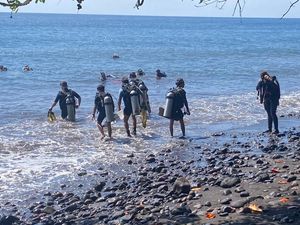 Tarif hingga Fasilitas yang Didapat Saat Diving-Snorkeling di Tulamben Tarif hingga Fasilitas yang Didapat Saat Diving-Snorkeling di Tulamben