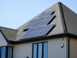 Trump Tarik Diri, Indonesia Justru Harus Maju