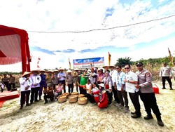 Panen Jagung 15 Ton, Bupati Pelalawan Puji Kapolda Riau Visioner