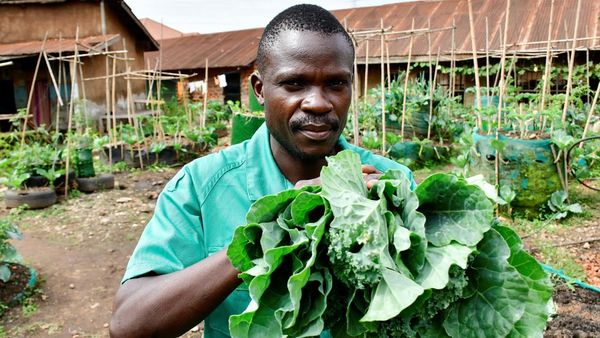 Pemuda Uganda Sulap Daerah Kumuh Jadi Oase Pertanian Perkotaan