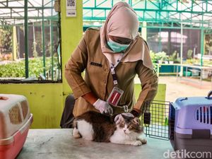 Program Vaksin Rabies Gratis Untuk Anabul