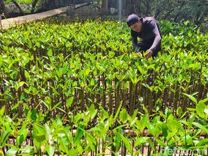 Pemprov Jakarta Promosikan Ekowisata Lewat Jakarta Ecotourism Festival Pemprov Jakarta Promosikan Ekowisata Lewat Jakarta Ecotourism Festival
