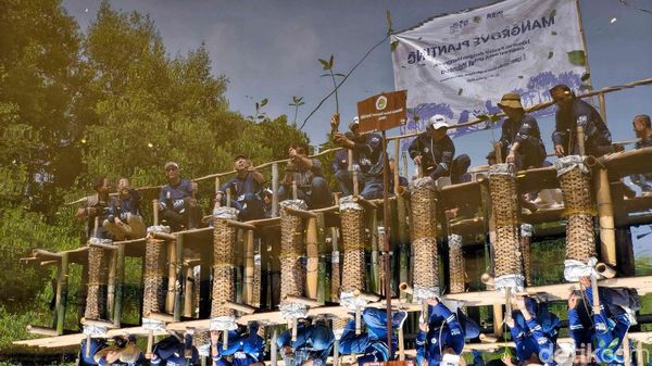Aksi Tanam Ribuan Mangrove di Jakarta, Jaga Laut dan Pesisir