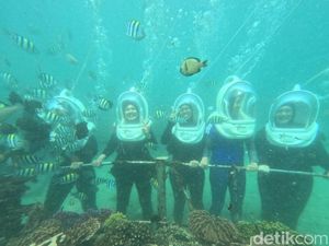 Aktivitas Seru Sea Walking di Bali: Berjalan di Dasar Laut Tanpa Berenang Aktivitas Seru Sea Walking di Bali: Berjalan di Dasar Laut Tanpa Berenang