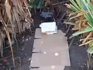 Viral Kondom Berserakan Ditemukan di Bilik Kamar Pantai Watu Ulo Jember Viral Kondom Berserakan Ditemukan di Bilik Kamar Pantai Watu Ulo Jember