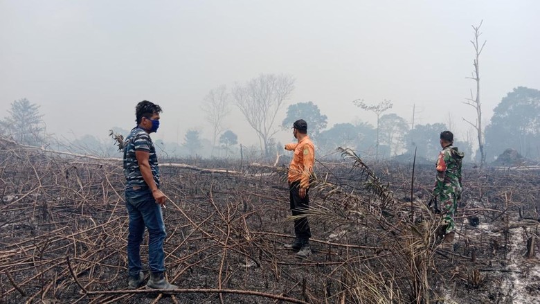 Kawasan Hutan Lindung di Muba Sumsel Terbakar