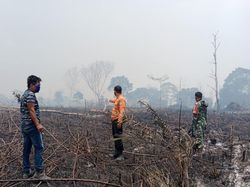 Kawasan Hutan Lindung di Muba Sumsel Terbakar