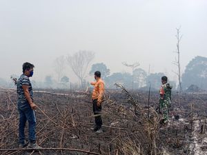 Kawasan Hutan Lindung di Muba Sumsel Terbakar Kawasan Hutan Lindung di Muba Sumsel Terbakar
