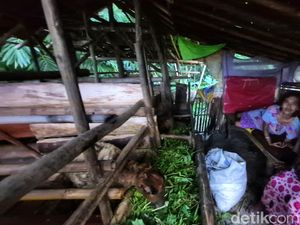 3 Tahun Etin Memilih Tinggal di Kandang Kambing, Alasannya Bikin Pilu 3 Tahun Etin Memilih Tinggal di Kandang Kambing, Alasannya Bikin Pilu