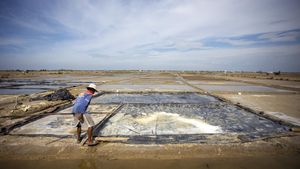 Cuaca Tak Bersahabat, Produksi Garam Rakyat di Cirebon Lumpuh