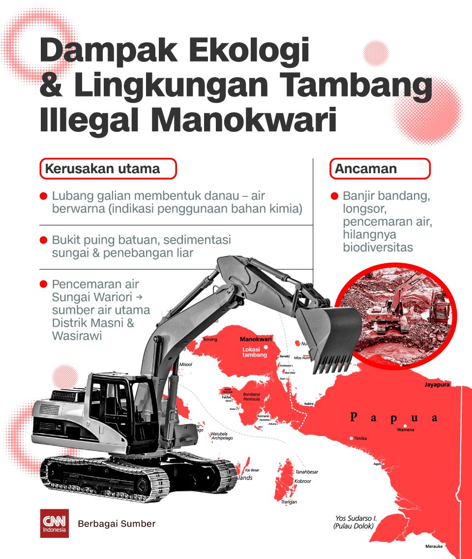 Infografis Dampak Ekologi & Lingkungan Tambang Illegal Manokwari