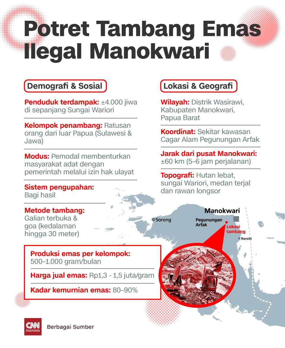 Infografis Potret Tambang Emas Ilegal Manokwari