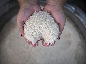 Kok Bisa Beras di Toko Langka dan Mahal, Padahal Stok Melimpah? Kok Bisa Beras di Toko Langka dan Mahal, Padahal Stok Melimpah?