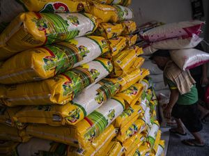 Cadangan Beras RI Melimpah tapi Harga Naik, Ini Penjelasan Mentan Cadangan Beras RI Melimpah tapi Harga Naik, Ini Penjelasan Mentan