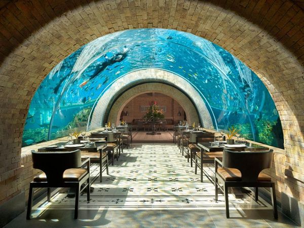 Makan di Bawah Laut? 10 Restoran Ini Tawarkan Pemandangan Mempesona