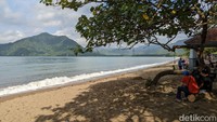 Hari Jadi Trenggalek, Tiket Pantai Prigi dan Angkutan Wisata Gratis!