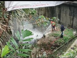 Viral Kebakaran di Selokan Mataram Dipicu Pipa Gas Bocor, Ternyata...