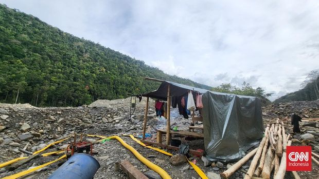 Di balik lebatnya hutan Pegunungan Arfak, Manokwari, ratusan gubuk penambangan emas ilegal di Papua Barat berdiri