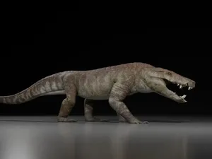 Buaya Purba Mengerikan Ini Memangsa Dinosaurus Buaya Purba Mengerikan Ini Memangsa Dinosaurus