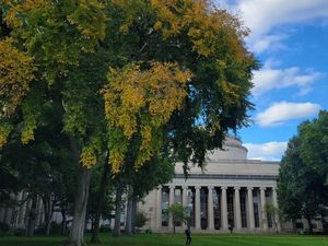 10 Kampus Terbaik AS Versi Forbes, MIT di Posisi Puncak 10 Kampus Terbaik AS Versi Forbes, MIT di Posisi Puncak