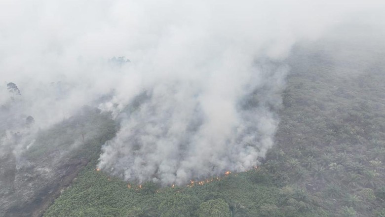 Tim Gabungan Cegah Karhutla di Aceh Selatan Meluas ke TN Gunung Leuser