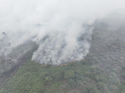 Tim Gabungan Cegah Karhutla di Aceh Selatan Meluas ke TN Gunung Leuser Tim Gabungan Cegah Karhutla di Aceh Selatan Meluas ke TN Gunung Leuser