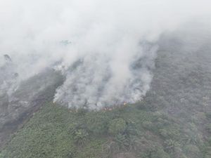 Tim Gabungan Cegah Karhutla di Aceh Selatan Meluas ke TN Gunung Leuser Tim Gabungan Cegah Karhutla di Aceh Selatan Meluas ke TN Gunung Leuser
