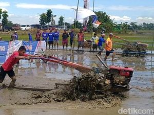 Serunya Lomba Ketangkasan Traktor di Pekalongan, Petani Muda-Pelajar Adu Cepat