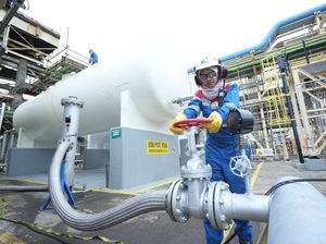 Pertamina Akan Replikasi Energi Hijau ke Kilang Balongan dan Dumai Pertamina Akan Replikasi Energi Hijau ke Kilang Balongan dan Dumai