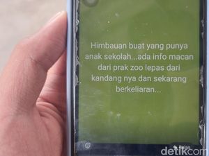 Jabar Hari Ini: Heboh Macan Tutul Kabur di Lembang Park & Zoo Jabar Hari Ini: Heboh Macan Tutul Kabur di Lembang Park & Zoo