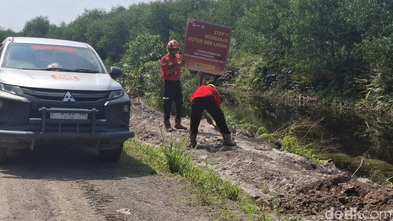 Strategi PT WKS Jambi Jaga Gambut dari Ancaman Karhutla di Kebun Akasia