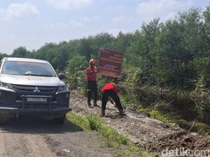 Strategi PT WKS Jambi Jaga Gambut dari Ancaman Karhutla di Kebun Akasia Strategi PT WKS Jambi Jaga Gambut dari Ancaman Karhutla di Kebun Akasia