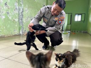 Polisi Kota Kediri Membuka Panti Kucing Gratis Polisi Kota Kediri Membuka Panti Kucing Gratis