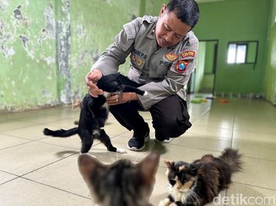 Polisi Kota Kediri Membuka Panti Kucing Gratis