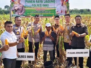 Polres Inhu Sukses Panen 5 Ton Jagung Dukung Swasembada Pangan
