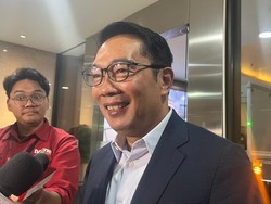 Lega RK Usai Tes DNA Anak Lisa Tak Identik: Fitnah Besar Ditepis