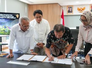 RM Padang Sederhana Bakal Nongol di IKN RM Padang Sederhana Bakal Nongol di IKN