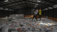 1,45 Juta Ton Beras Numpuk di Gudang Bulog, 29 Ribu Ton Turun Mutu