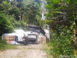 Asal-usul Macan Tutul yang Kabur di Lembang Park & Zoo