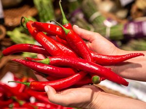 Harga Sembako Jawa Timur 13 September 2025, Harga Cabe dan Bawang Naik Harga Sembako Jawa Timur 13 September 2025, Harga Cabe dan Bawang Naik