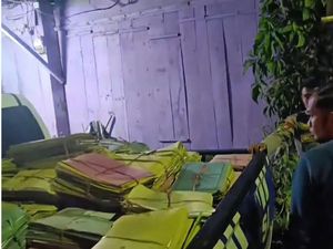 Pria Pembobol Kantor Dukcapil Mamasa-Gasak 1 Pikap Dokumen Diduga ODGJ Pria Pembobol Kantor Dukcapil Mamasa-Gasak 1 Pikap Dokumen Diduga ODGJ