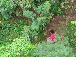 Pemuda Surabaya Lompat dari Kereta saat Melaju Kencang di Jember Pemuda Surabaya Lompat dari Kereta saat Melaju Kencang di Jember