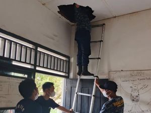Damkar PALI Evakuasi Sarang Kelelawar di Plafon SDN 3 Tanah Abang Damkar PALI Evakuasi Sarang Kelelawar di Plafon SDN 3 Tanah Abang