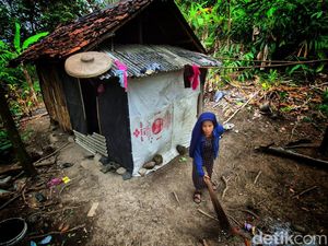 Kisah Iis, Buruh Penyadap Karet Hidup di Gubuk Gelap Demi 2 Anak Kisah Iis, Buruh Penyadap Karet Hidup di Gubuk Gelap Demi 2 Anak