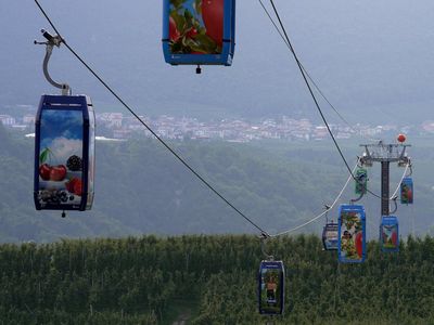 Kereta Gantung Apel Dolomites Jadi Ikon Baru Pertanian Ramah Lingkungan Italia