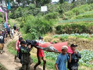 Pendaki Pria Tewas di Gunung Gede Pangrango Saat Mendaki Bareng Istri Pendaki Pria Tewas di Gunung Gede Pangrango Saat Mendaki Bareng Istri