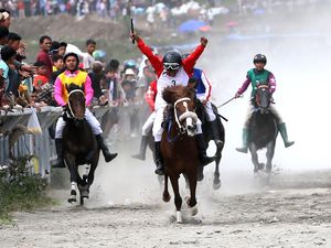Tradisi Pacuan Kuda Gayo Jadi Pesta Rakyat di Aceh Tradisi Pacuan Kuda Gayo Jadi Pesta Rakyat di Aceh
