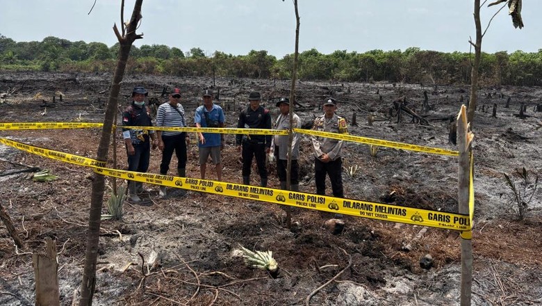 Bakar 2 Hektare Lahan untuk Ditanami Sawit, Pria di Inhil Ditangkap