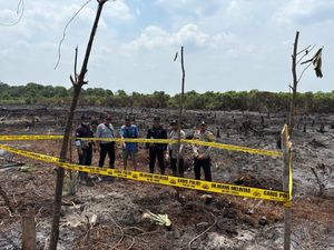 Bakar 2 Hektare Lahan untuk Ditanami Sawit, Pria di Inhil Ditangkap